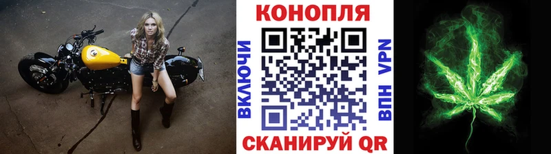 гидра ТОР Щёкино площадка клад как найти наркотики Марихуана семена